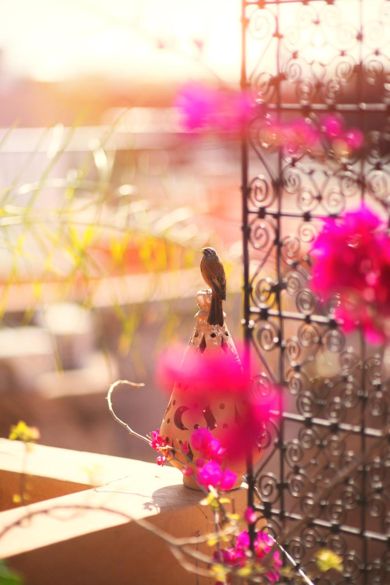 Riad Persephone Marrakesch Exterior foto